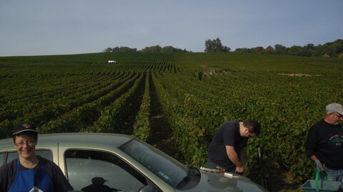 Vendanges Corinne, SDC12981