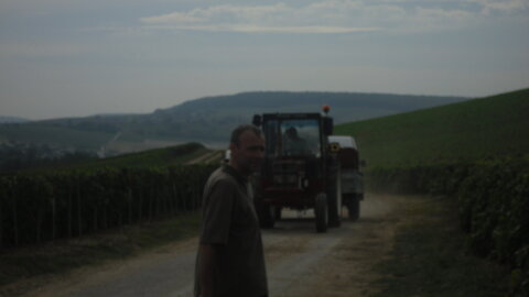 Vendanges Corinne, SDC12985