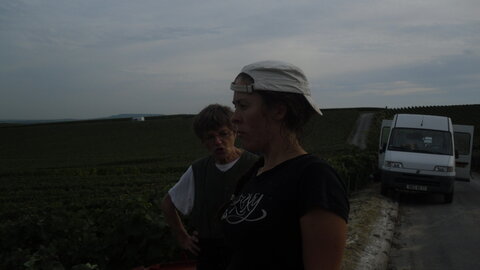 Vendanges Corinne, SDC12989