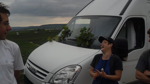 Vendanges Corinne, SDC13009