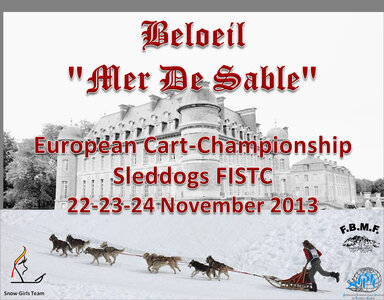 European cart Championship Beloeil 2013 Day 3 and closure ceremony, affiche beloeil