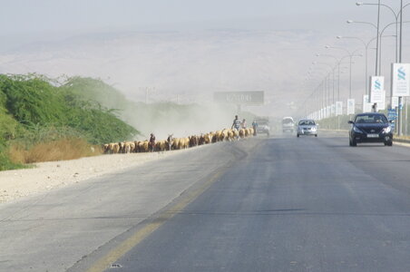 jordanie, IMGP8143