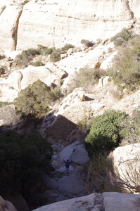 jordanie, IMGP8194