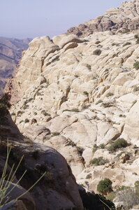 jordanie, IMGP8196