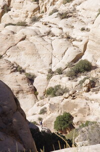 jordanie, IMGP8198
