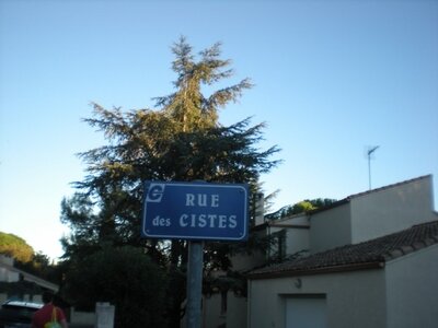 Buzzeo BAL Montpellier, DSCN4261  640x480 