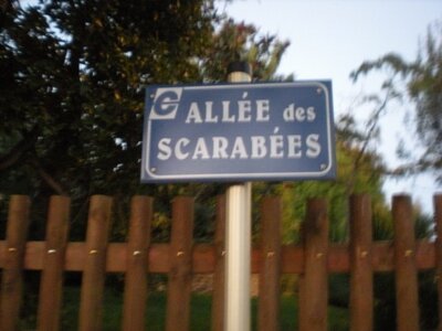 Buzzeo BAL Montpellier, DSCN4287  640x480 