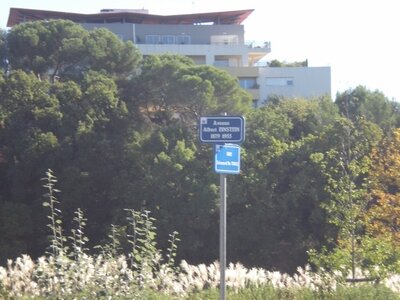 Buzzeo BAL Montpellier, DSCN4314  640x480 
