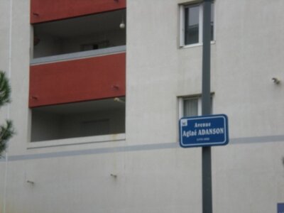 Buzzeo BAL Montpellier, DSCN4365  640x480 