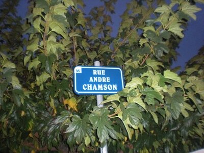 Buzzeo BAL Montpellier, DSCN4437  640x480 