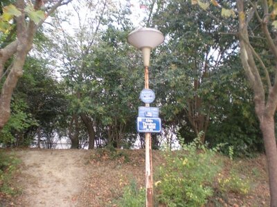 Buzzeo BAL Montpellier, DSCN4458  640x480 
