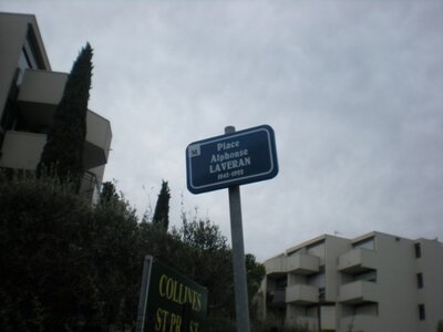 Buzzeo BAL Montpellier, DSCN4463  640x480 