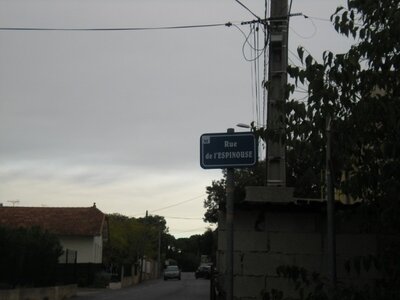 Buzzeo BAL Montpellier, DSCN4469  640x480 