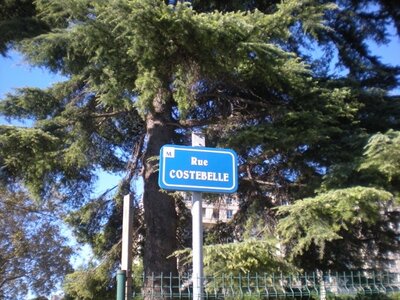 Buzzeo BAL Montpellier, DSCN4627  640x480 