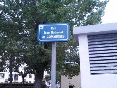 Buzzeo BAL Montpellier, IMG_20131109_162946  640x480 