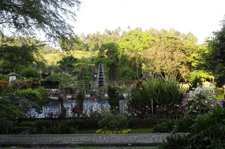 BALI 2013, _DSC0026_resized