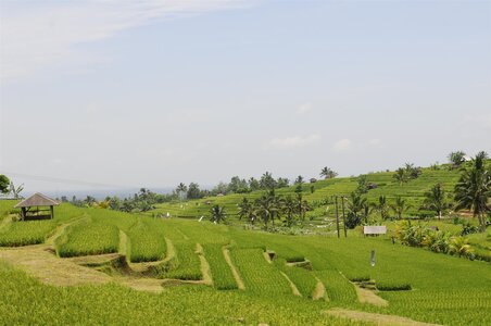 BALI 2013, _DSC0159_resized