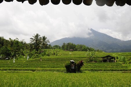 BALI 2013, _DSC0162_resized