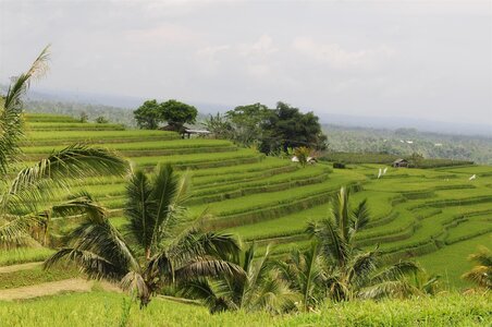 BALI 2013, _DSC0164_resized