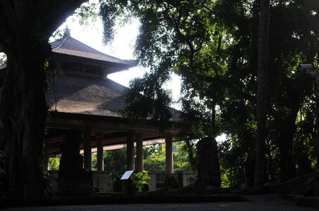 BALI 2013, _DSC0214_resized