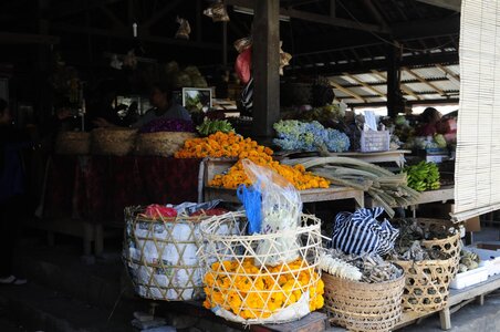 BALI 2013, MARCHE