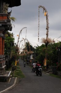 BALI 2013, _DSC9850_resized