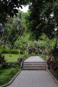 BALI 2013, _DSC9851_resized