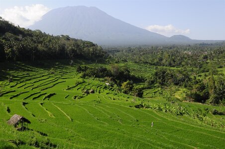 BALI 2013, _DSC9988_resized