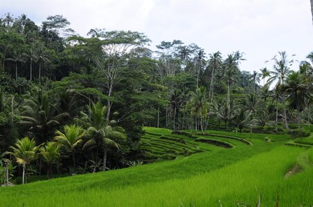BALI 2013, _DSC9834_resized