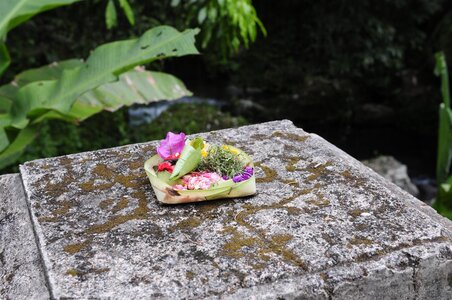BALI 2013, _DSC9839_resized