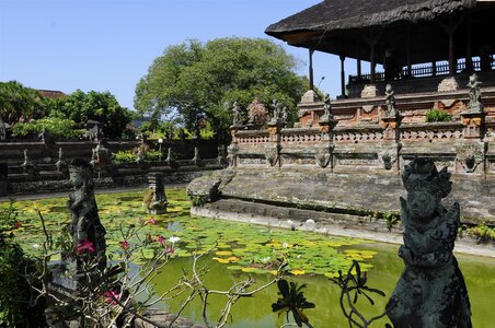 BALI 2013, _DSC9936_resized