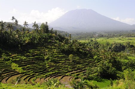 BALI 2013, _DSC9979_resized