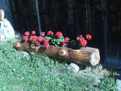 Nos créations en bois massif, Jardinière