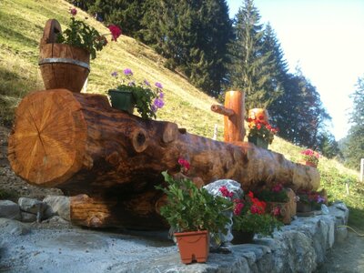 Nos créations en bois massif, Bassin