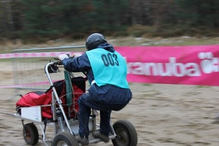 European cart Championship Beloeil 2013  Day 1, IMG_3256  467 310 