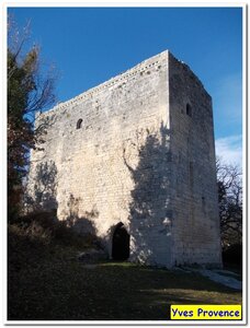 St Michel l'Observatoire - 5 janvier 2013, DSCN3743