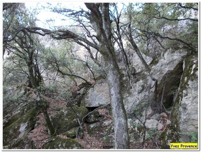 12 janvier 2013 - Peyruis Ganagobie, DSCN3811