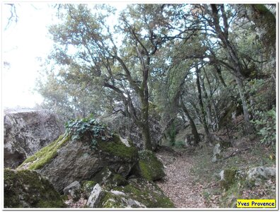 12 janvier 2013 - Peyruis Ganagobie, DSCN3816