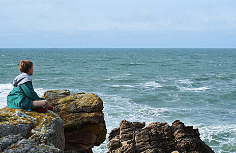  17- Région de La Trinité Sur Mer , Côte Sauvage