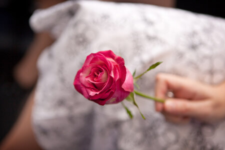 Mariage 2.10.2010, JL--899