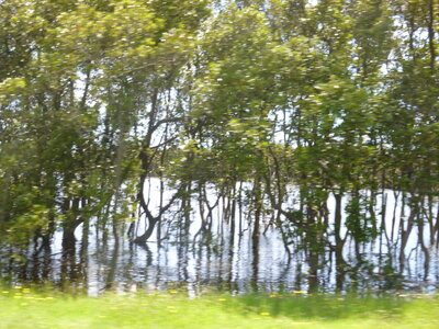 Australia 2013, P1000528