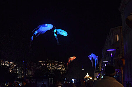 22 -  Illuminations de Valence 2013, Valence 14 12 2013 14