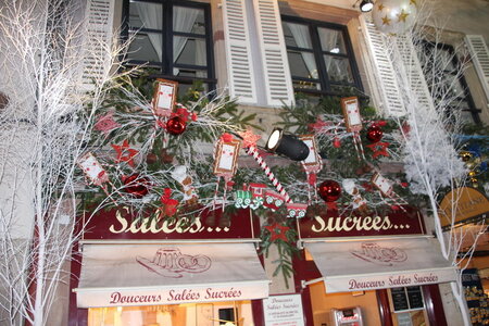 balade metz nancy strasbourg colmar decembre 2013, decembre 2013 054