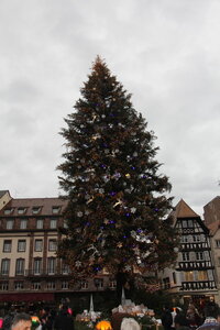 balade metz nancy strasbourg colmar decembre 2013, decembre 2013 286