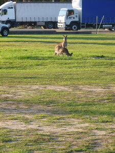 Australia 2013, P1000386