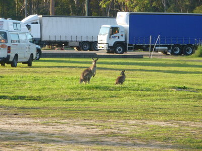 Australia 2013, P1000385