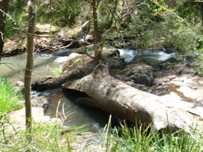 Australia 2013, P1000216