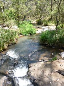 Australia 2013, P1000221