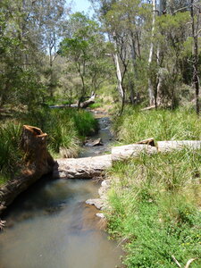 Australia 2013, P1000219