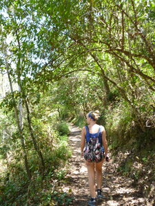 Australia 2013, P1000231